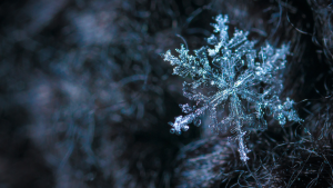 Masaru Emoto